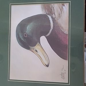 Tim Pafford Mallard Signed & #  Print